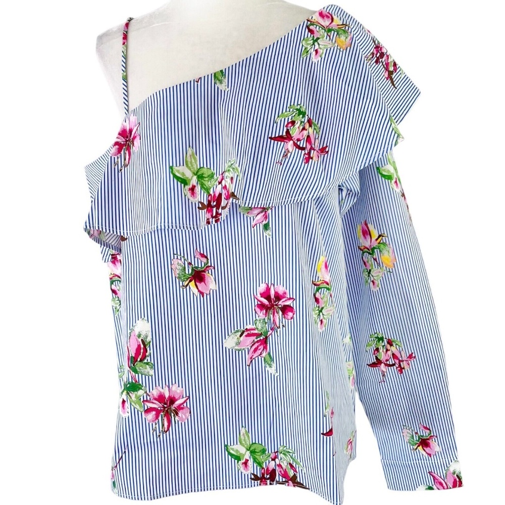 New Lumiere Floral Stripe One Shoulder Long Sleeve Shirt Blue Pink Size Large